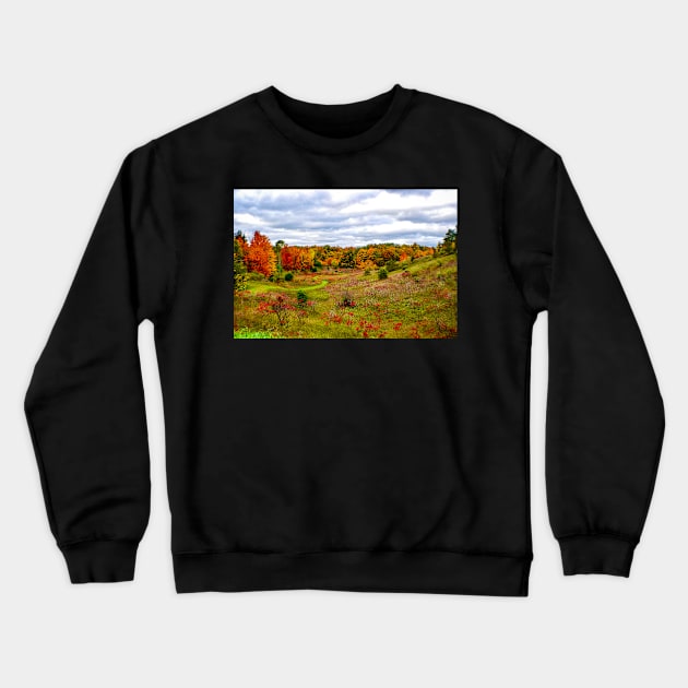 "Autumn Valley" Crewneck Sweatshirt by Colette22